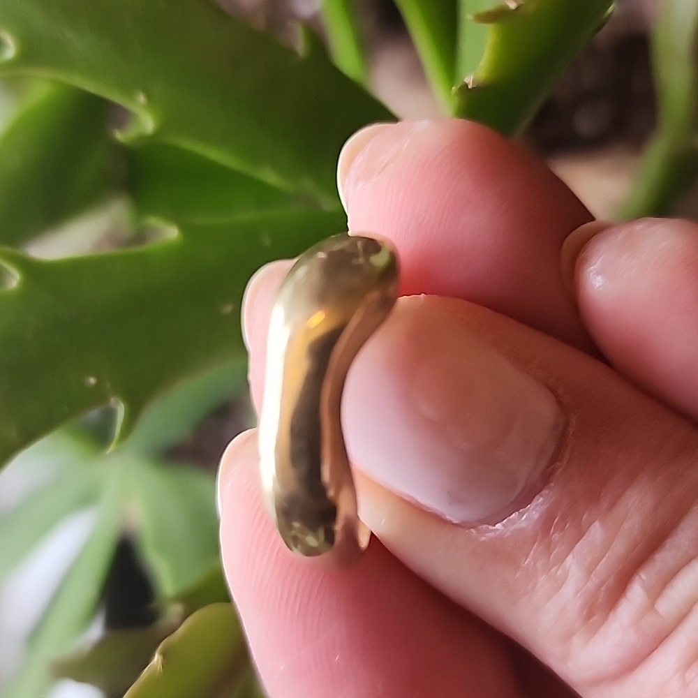 Cashmere Cactus Modern Brass Ring